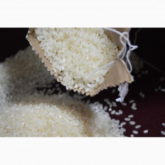 Продам рис 2018 года в наличии 65 тонн, Херсонская обл