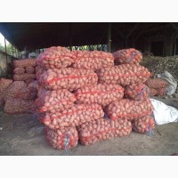 Продам картофель с доставкой по Украине