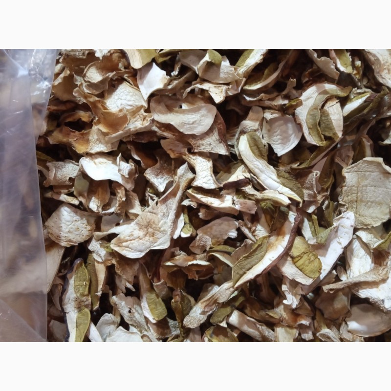 Фото 2. Продаю сухие грибы собраные( 2022) в Закарпатте. Белые 1-2-3 сорта. подосинновики