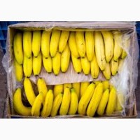 Продам бананы ОПТ Эквадор