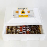 Инкубатор Теплуша на 100 яиц, доп. питание от аккумулятора 12В, встроенный влагомер