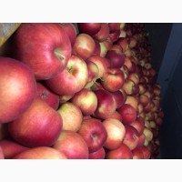 Продам яблука сорт Айдарет Монтуан