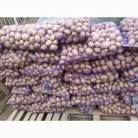 Продам картофель в Каменском