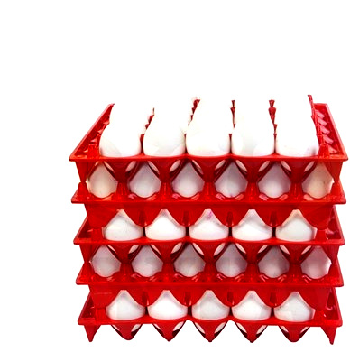 Фото 4. Лотки для курячих, качиних та індичих яєць, ящики та системи перевезення яєць