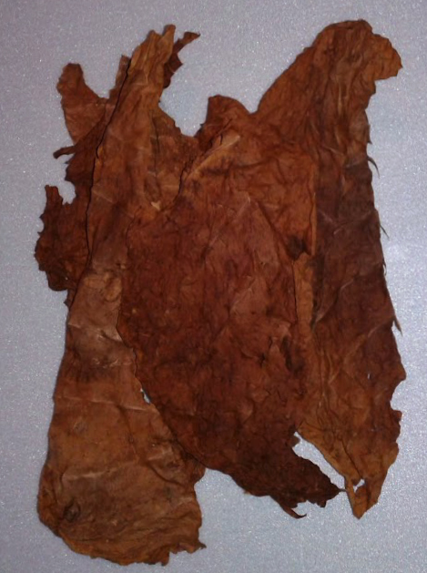 Фото 2. Сухой лист табака. Табак Кентукки Берли без центральной жилки