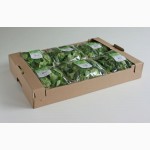 Био контейнеры из шпона для фасовки зелени, салатов, лука