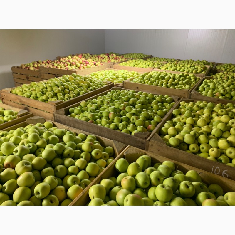 Фото 4. Продам яблука з холодильника газовані(смарт фреш)