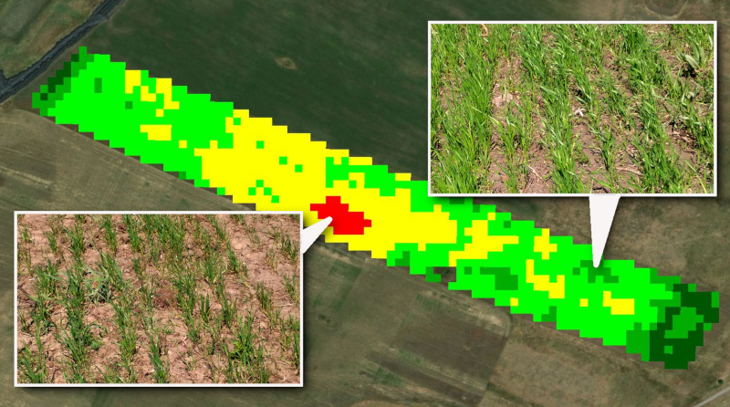 Фото 3. Создание карт нарушений вегетации полей на основе космоснимков, работаем по Украине
