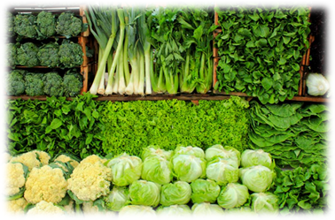 Фото 2. Зелень и овощи оптом от производителя без посредников укроп петрушка базилик руккола редис