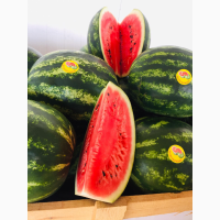 Watermelon Арбуз