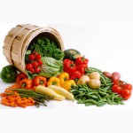 Продаем Огурцы и любые свежие овощи, отправляем по Новой почте в любой город