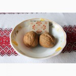 Интенсивные сорта грецких орехов