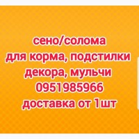 Сено солома в тюках мешках отличного качества с доставкой