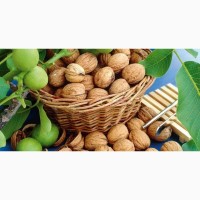 Покупаю грецкий орех в скорлупе, урожай 2018