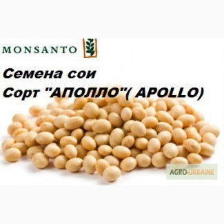 Продам насіння сої Aполло RR2