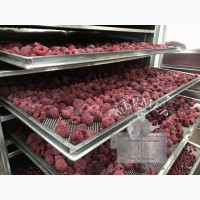 Сушилка инфракрасная Фермер-2040 для сушки яблочных чипсов, мясных чипсов, пастилы, ягод