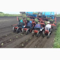 Машина рассадо-посадочная универсальная МРП (для помидоров, капусты, перца, огурцов)