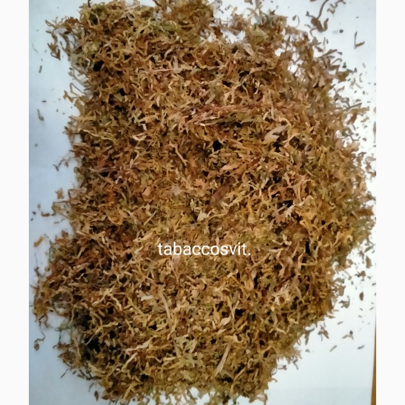 Фото 2. Ферментированный табак разных сортов чистый без пыли
