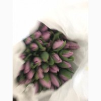 Принимаем заказы тюльпана к 14 февраля и к 8 Марта