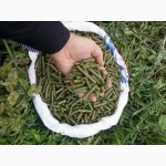 Линия для изготовления травяных гранул (гранулированной травяной муки) ОГМ 1.5