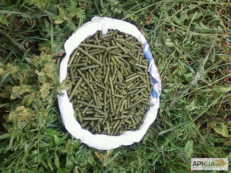 Фото 3. Линия для изготовления травяных гранул (гранулированной травяной муки) ОГМ 1.5