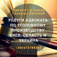 Адвокат в Киеве. Юридические услуги. Юридическая консультация
