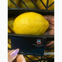 Продам лимон, апельсин, грейпфрут