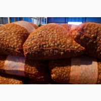 Продам грецкий орех (целый) урожай 2019