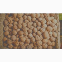 Куплю орехи кругляк или зерно дорого