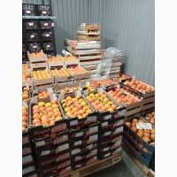 Гурт продаж фрукти овочі ціни опт фрукты овощи апельсин лимон мандарин