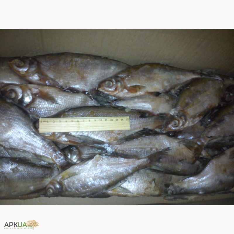 Фото 2. Рыбная компания реализует свежемороженую рыбу оптом