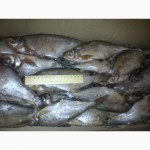 Рыбная компания реализует свежемороженую рыбу оптом