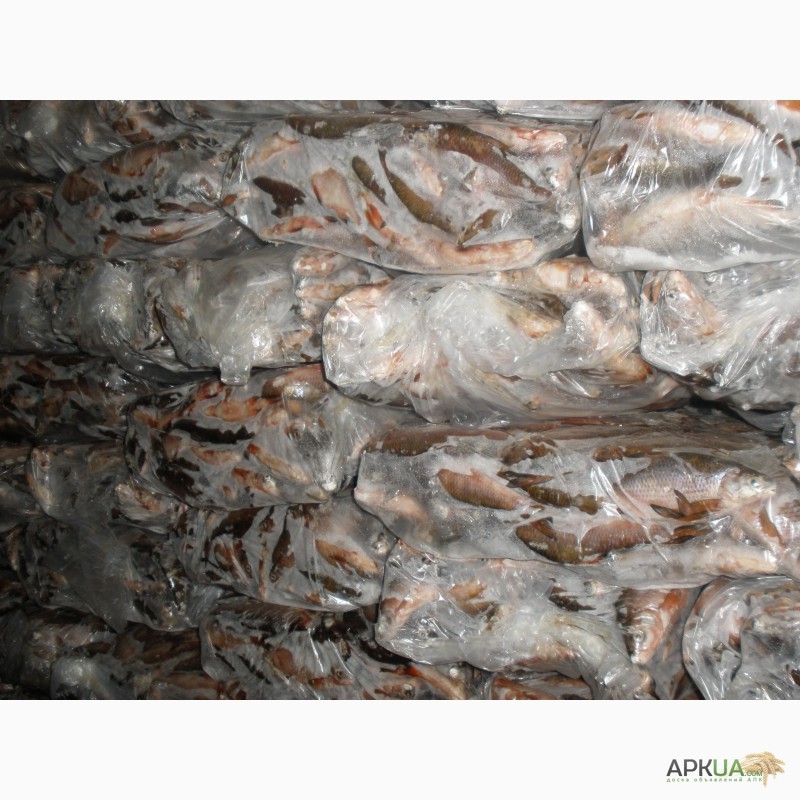 Фото 7. Рыбная компания реализует свежемороженую рыбу оптом