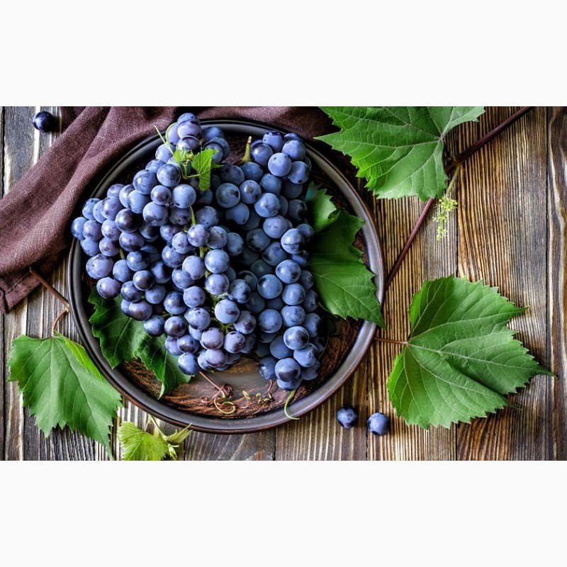 Виноград джазби. Жемчужина Молдавии виноград. Зимний виноград. Виноград и черная смородина. Малиновый виноград.