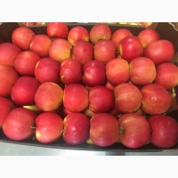 Продам яблука: Фуджі, айдаред