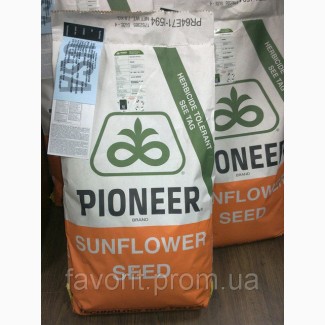 Семена подсолнечника «Пионер» П62ЛЕ122, ( круизер)