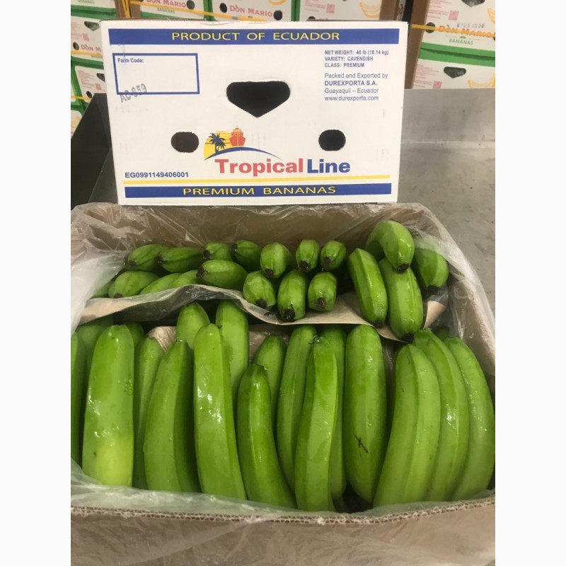 Фото 3. Предлагаем бананы из Эквадора и Коста Рика