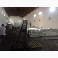 Доставка сахара по всей Украине. Крупный опт. От 200 тонн фасованный по 50 кг / мешок