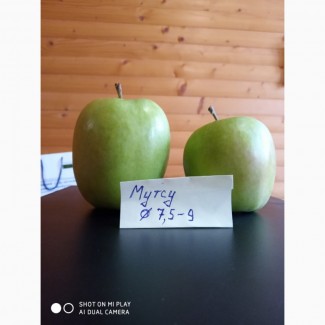 Продам якісні яблука з холодильника