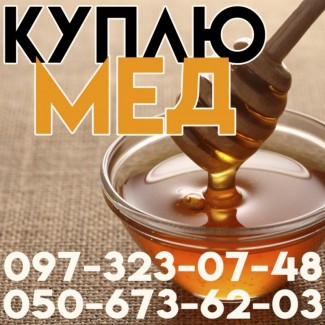 Куплю мед від 300 кг Кіровоградська та Черкаська обл