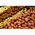 Продам картофель (цена договорная )
