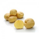 Продам картоплю Опал, вигідні умови