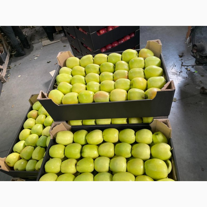 Фото 5. Продам яблоки несколько сортов с хранилищя. От производителя