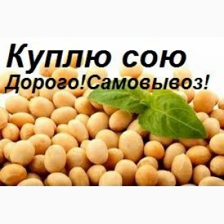 Дорого - закуповуємо сою