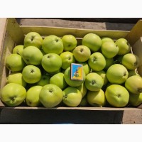 Продам яблоко від 5 тон! Яблоко зберігається в сховищі та холодильній камері