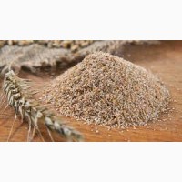 Продам пшеничные отруби на экспорт