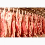 Мясо говядины(корова) полутуши 1, 2 кат. напрямую от производителя, от 43 грн/кг