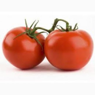 Купить помидоры от производителя