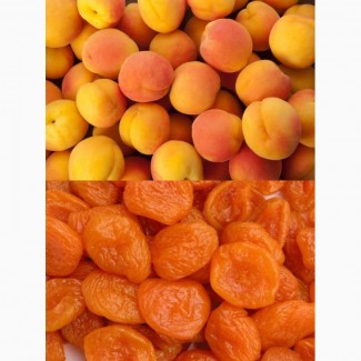 Продам абрикосу свежую и сухую из Турции