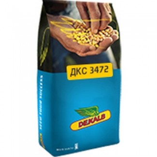 Семена Кукурузы ДКС 3472 (DKC 3472)